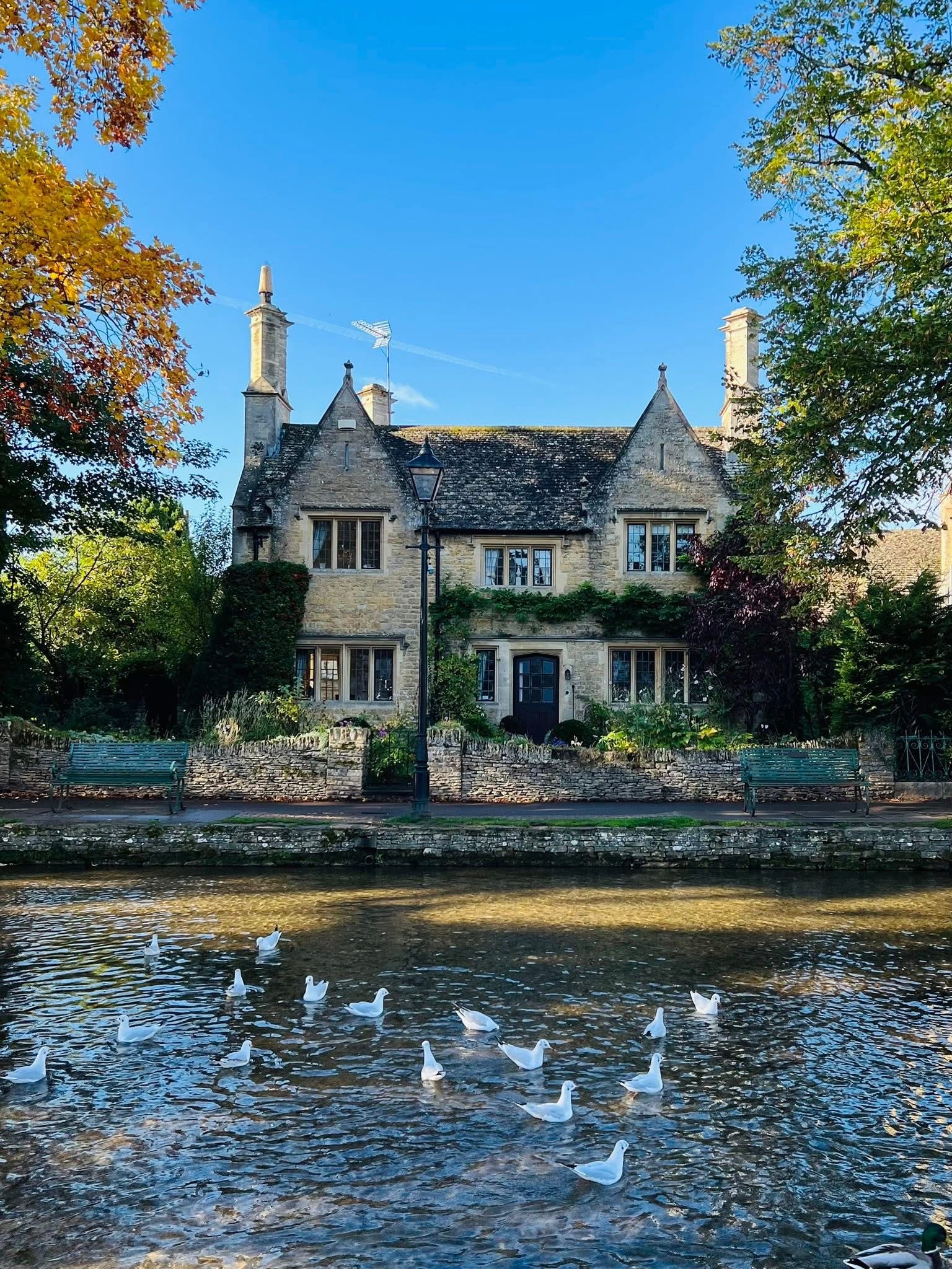 גבעות ירוקות