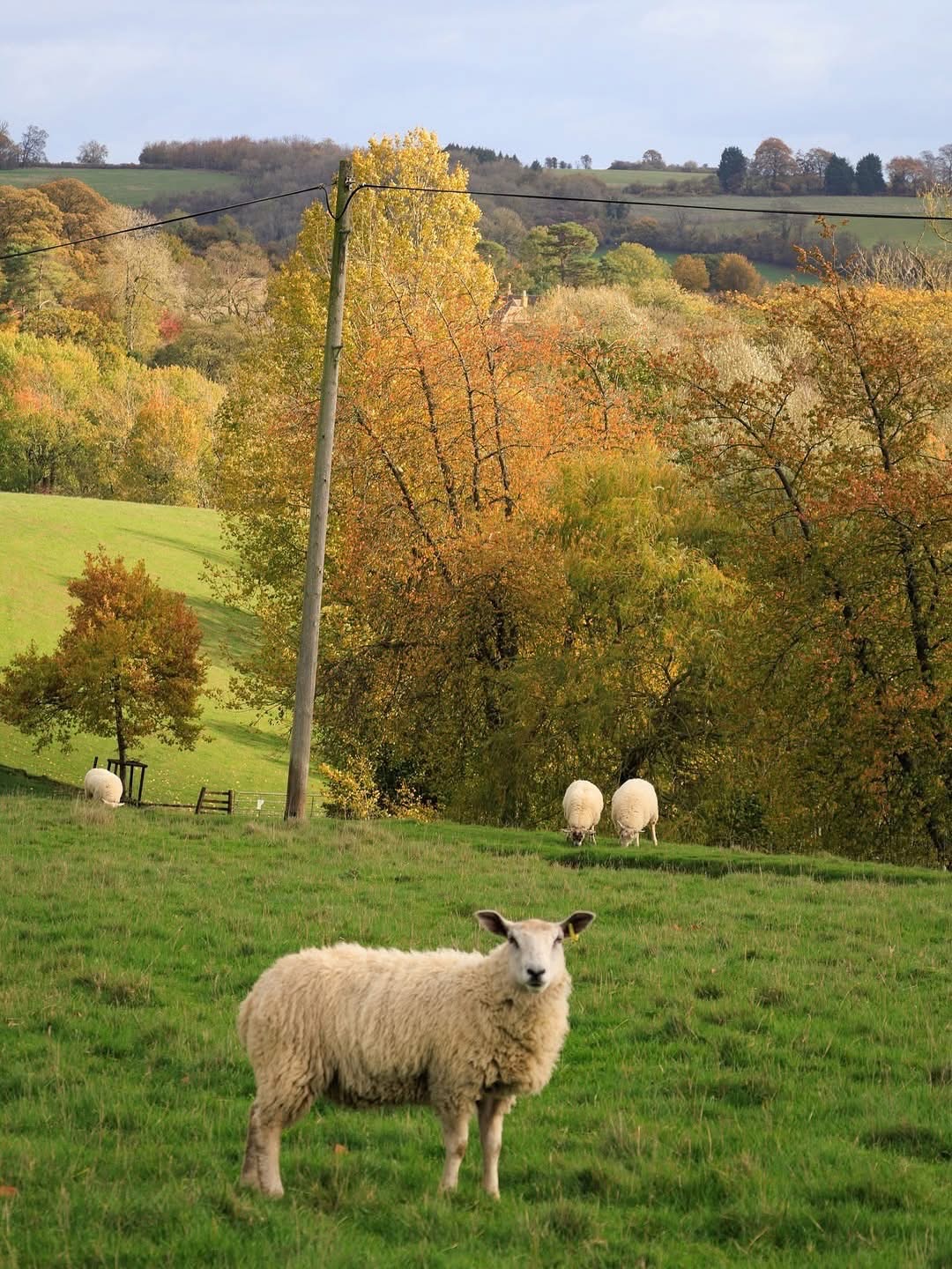 נקודת תצפית